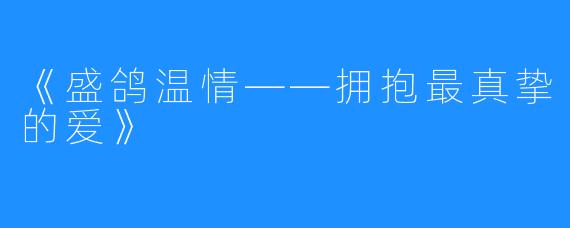 《盛鸽温情——拥抱最真挚的爱》