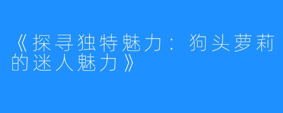 《探寻独特魅力：狗头萝莉的迷人魅力》