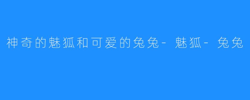 神奇的魅狐和可爱的兔兔-魅狐-兔兔