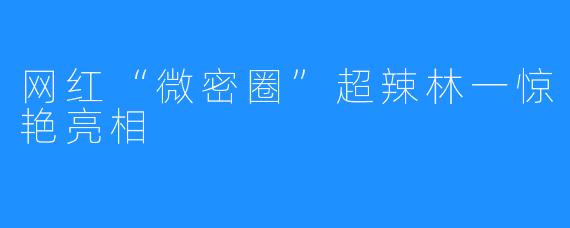 网红“微密圈”超辣林一惊艳亮相