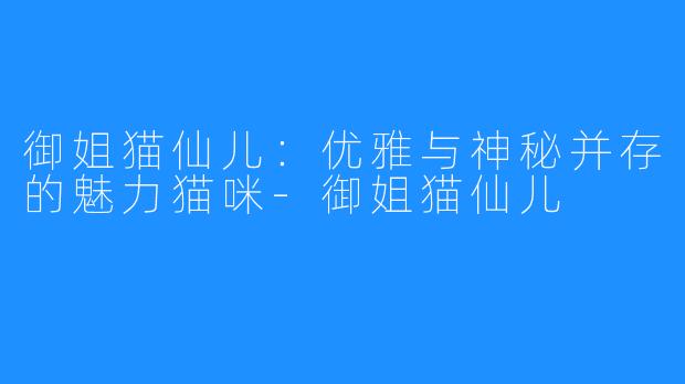 御姐猫仙儿:优雅与神秘并存的魅力猫咪-御姐猫仙儿