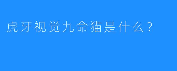 虎牙视觉九命猫是什么？  