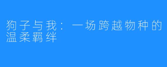 狗子与我:一场跨越物种的温柔羁绊