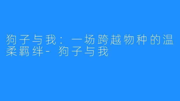 狗子与我:一场跨越物种的温柔羁绊-狗子与我