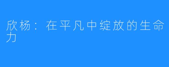 欣杨:在平凡中绽放的生命力