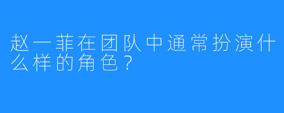 赵一菲在团队中通常扮演什么样的角色？