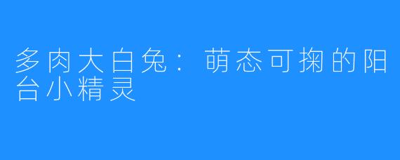 多肉大白兔:萌态可掬的阳台小精灵