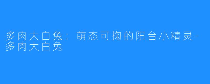 多肉大白兔:萌态可掬的阳台小精灵-多肉大白兔