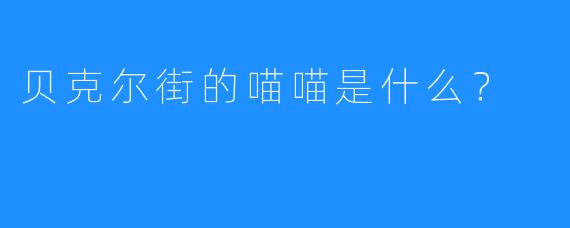 贝克尔街的喵喵是什么？