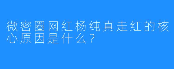微密圈网红杨纯真走红的核心原因是什么？