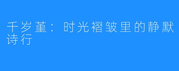 千岁堇：时光褶皱里的静默诗行