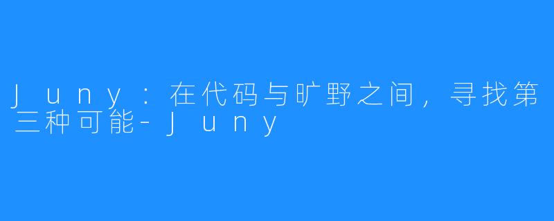 Juny：在代码与旷野之间，寻找第三种可能-Juny