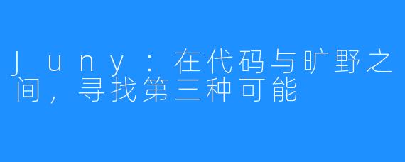Juny：在代码与旷野之间，寻找第三种可能